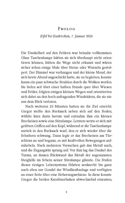 Die Richtung des Windes: Claudio Brenner ermittelt privat - Impian Verlag