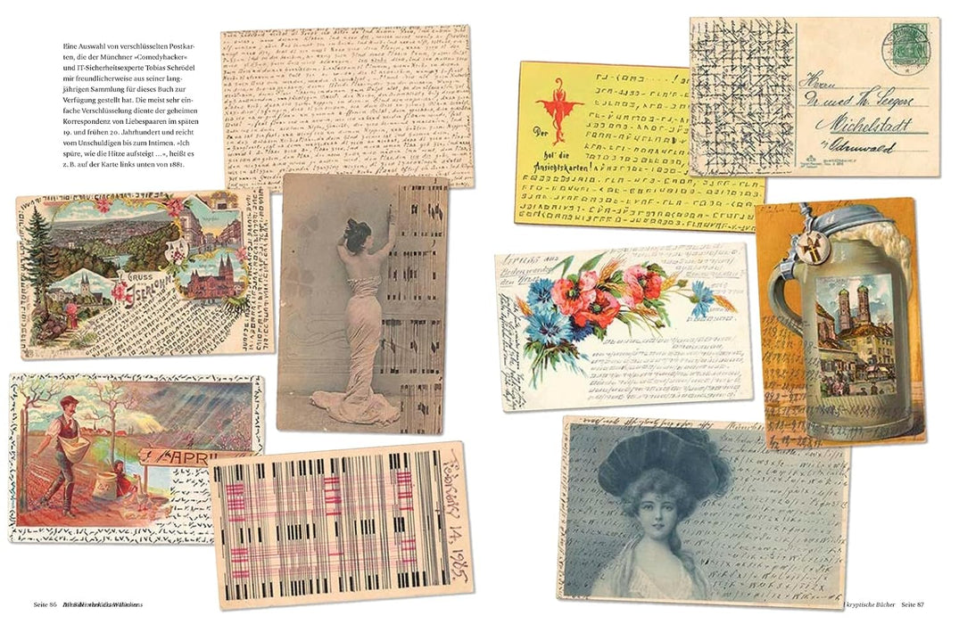 Die Bibliothek des Wahnsinns: Seltsame Bücher, skurrile Manuskripte und andere literarische Kuriositäten - Impian Verlag