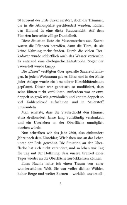 Die Helden von Seelestria: The Beginning - Impian Verlag
